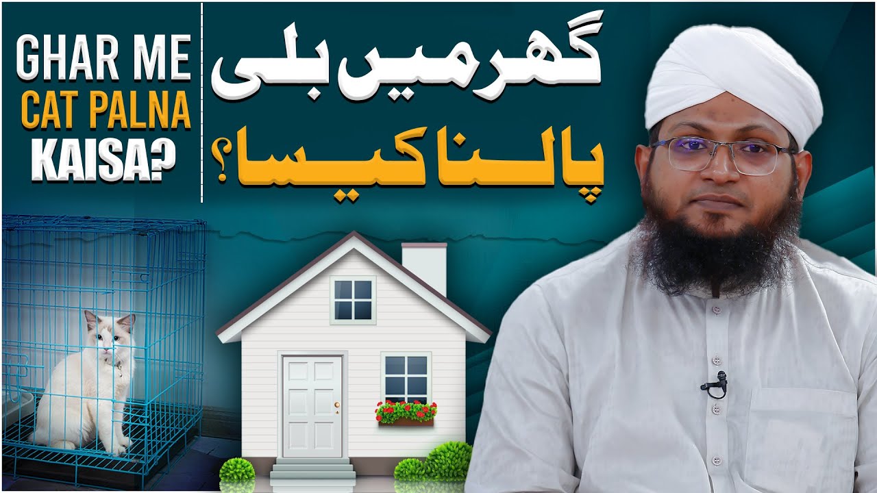 Ghar Mein Billi Palna Kaisa Hai?